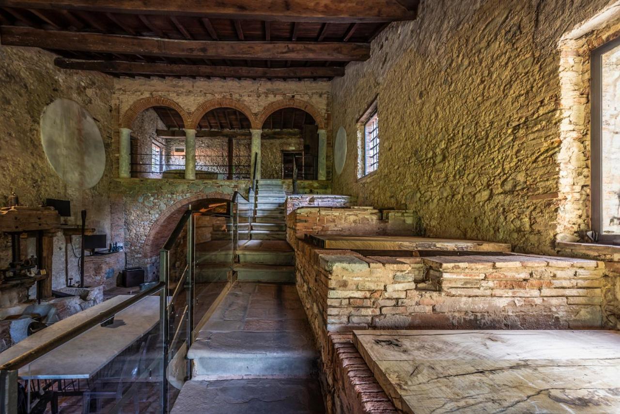 Frantoio Del Moscatello Bed and Breakfast Camaiore Buitenkant foto
